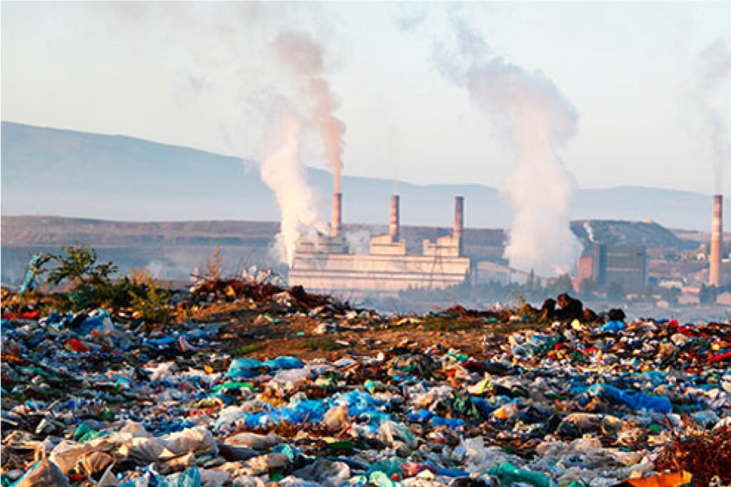 Distribution Management