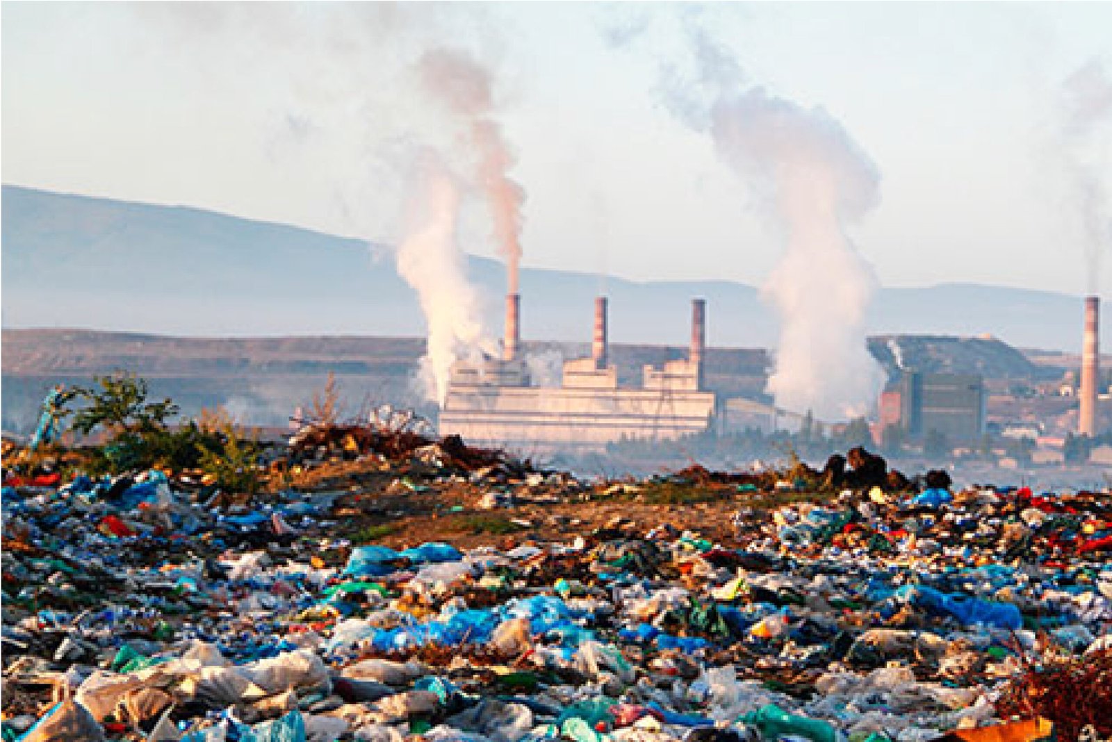 Distribution Management